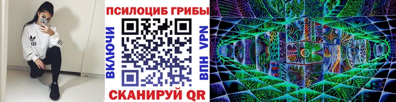 где купить наркоту  Назрань  Галлюциногенные грибы MAGIC MUSHROOMS 